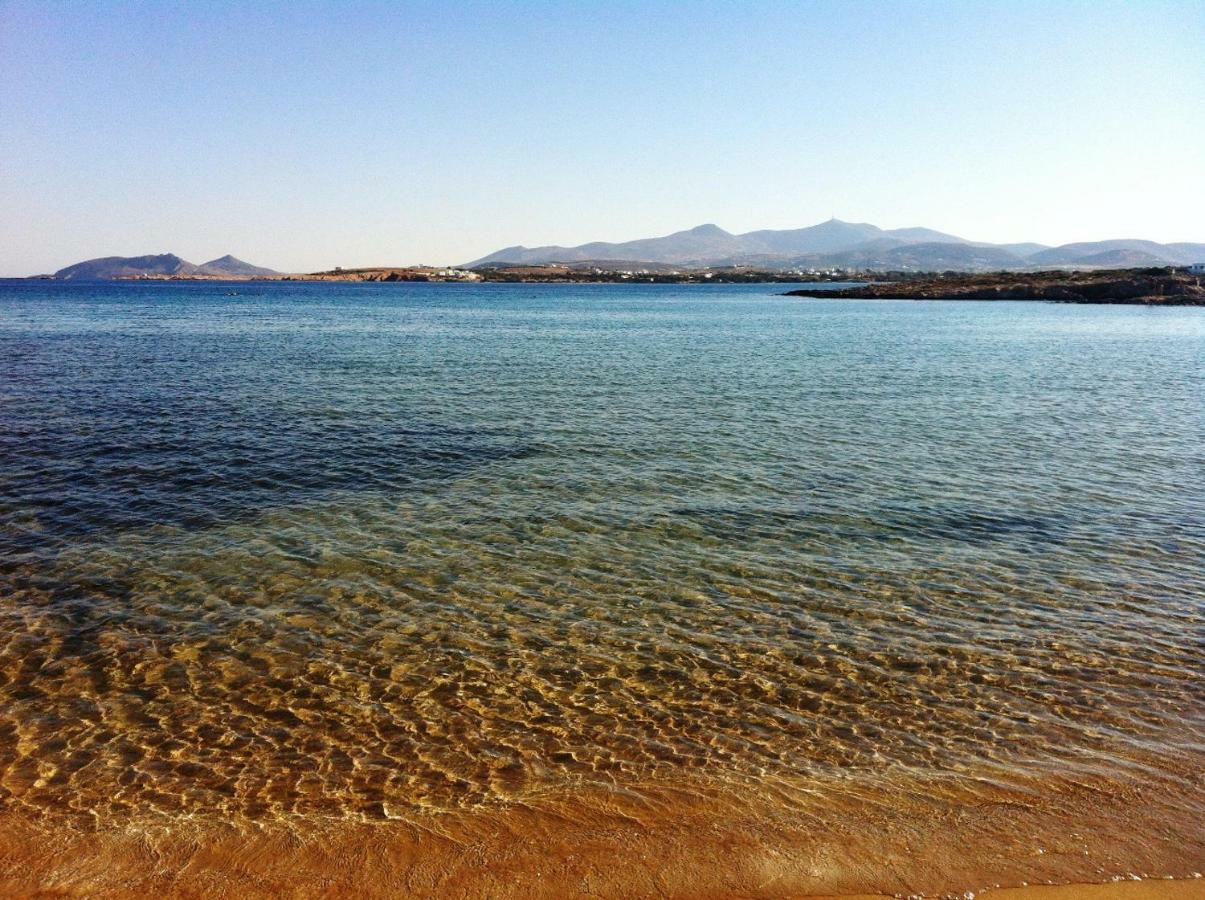 Villa Viglakia Νάουσα Εξωτερικό φωτογραφία