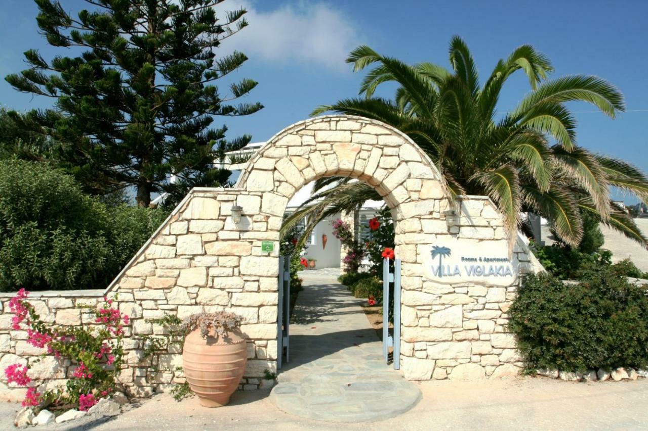 Villa Viglakia Νάουσα Εξωτερικό φωτογραφία