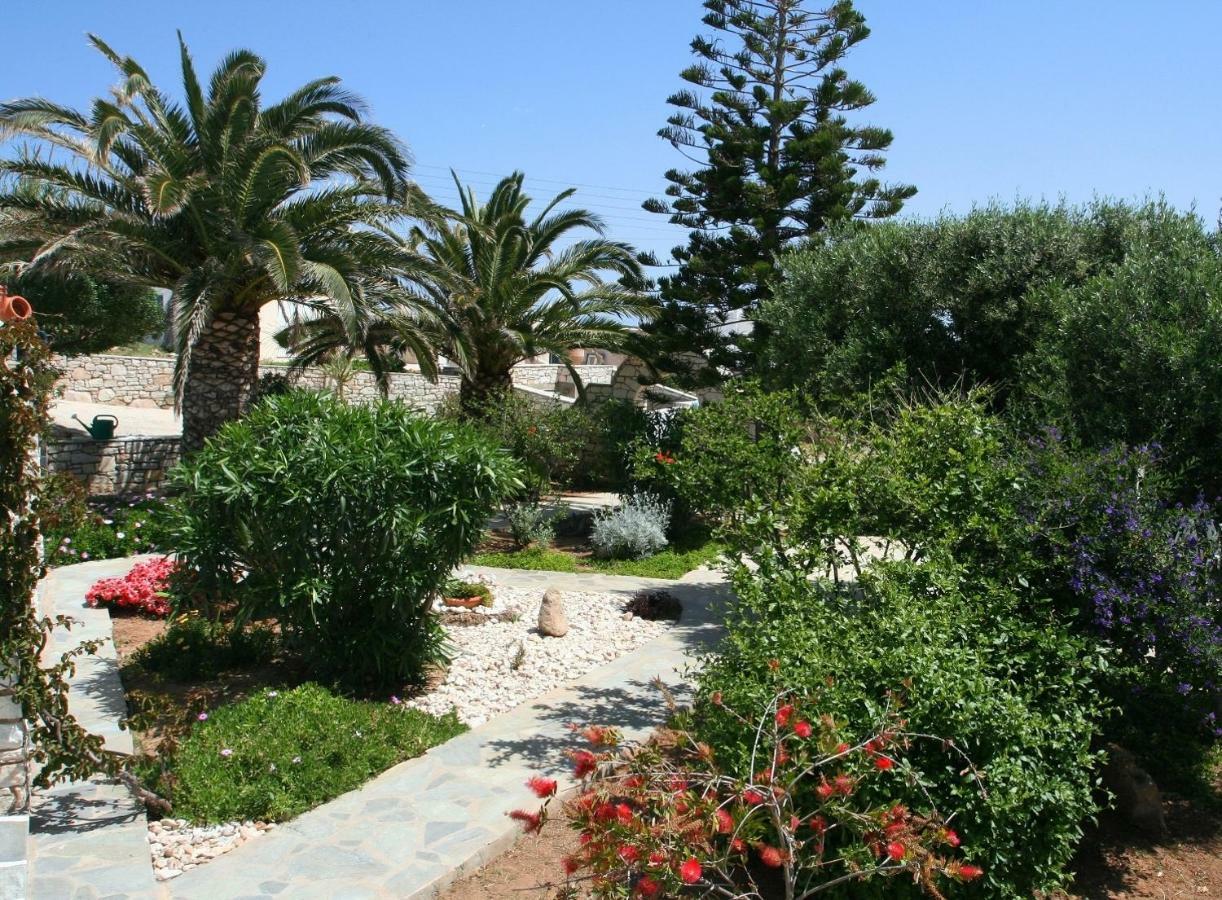 Villa Viglakia Νάουσα Εξωτερικό φωτογραφία