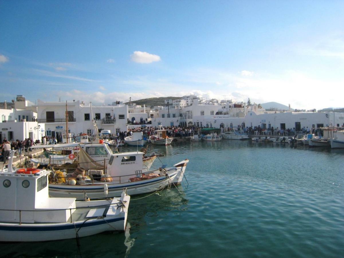Villa Viglakia Νάουσα Εξωτερικό φωτογραφία