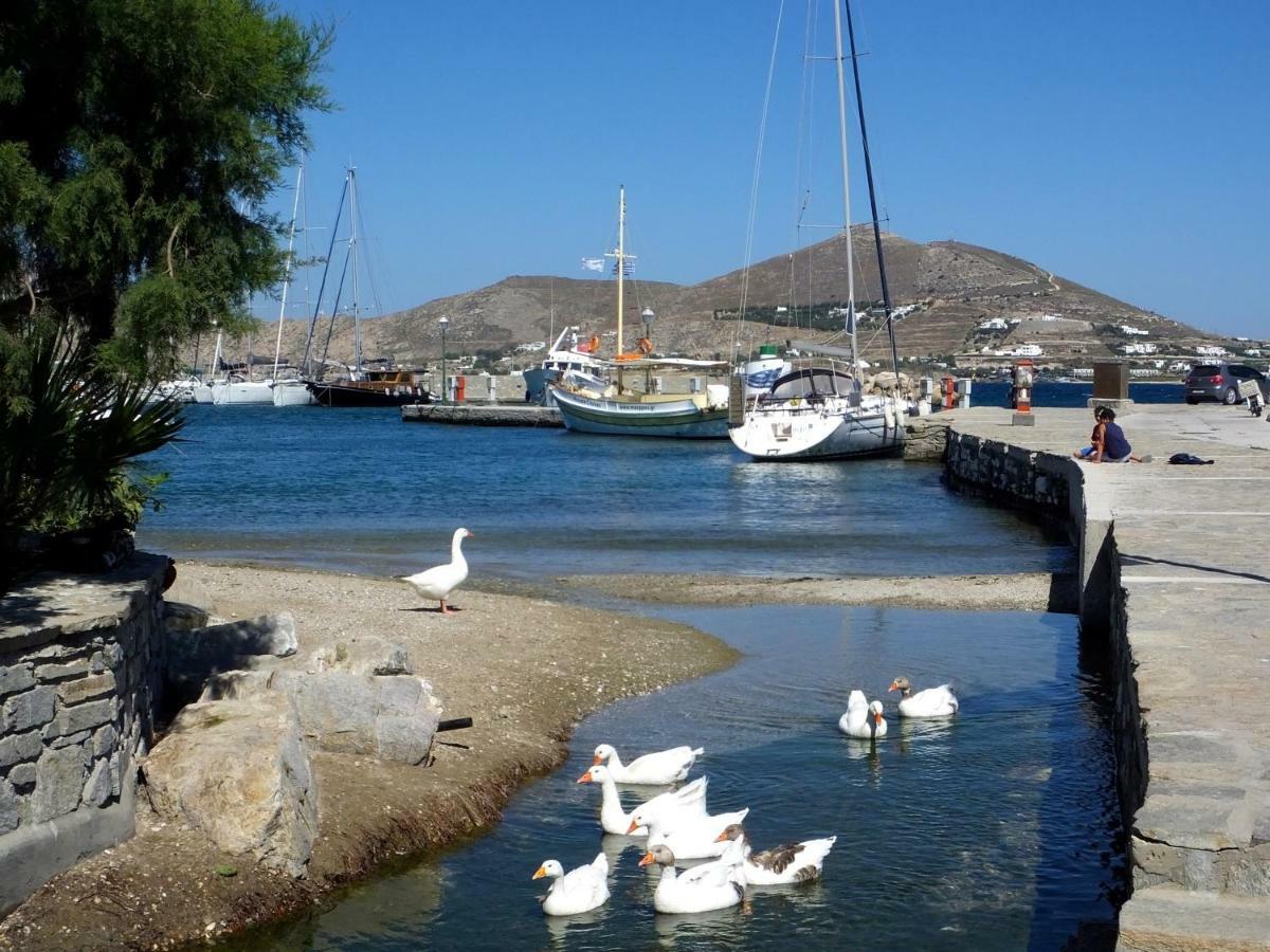 Villa Viglakia Νάουσα Εξωτερικό φωτογραφία