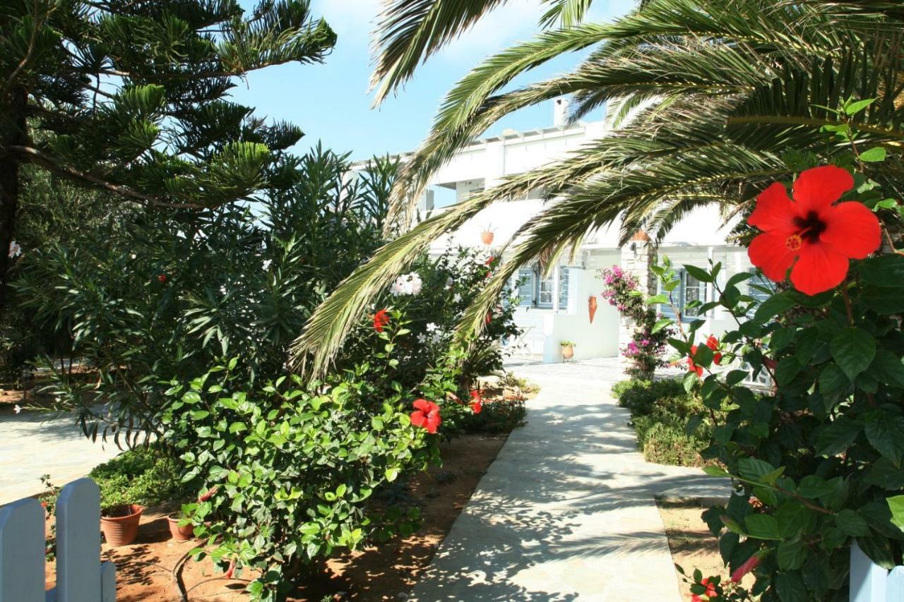 Villa Viglakia Νάουσα Εξωτερικό φωτογραφία