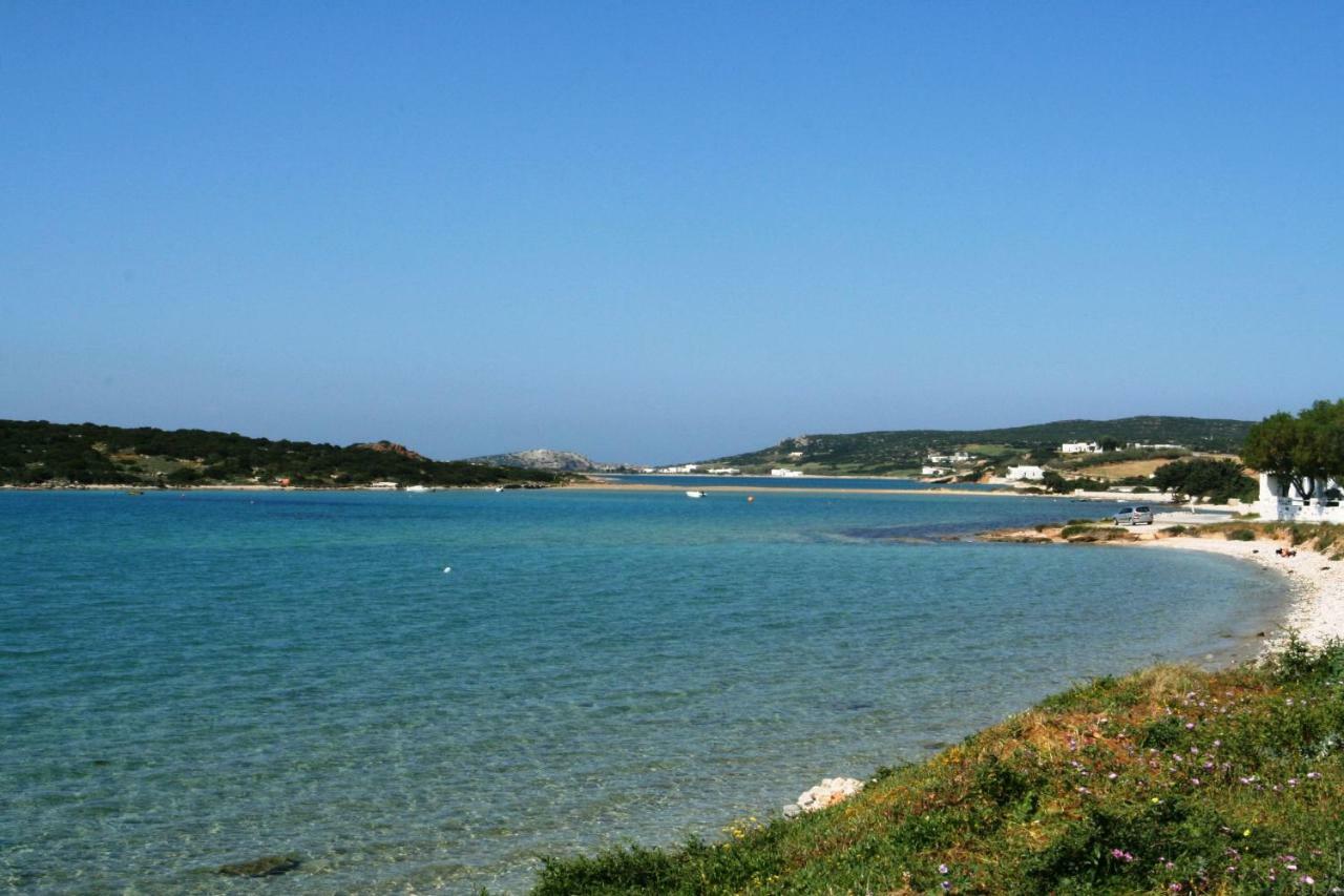 Villa Viglakia Νάουσα Εξωτερικό φωτογραφία